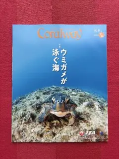 Coralway 2025年9・10月号 【特集】ウミガメが泳ぐ海 沖縄