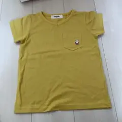 半袖Tシャツ　120 cucciolo