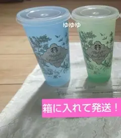 スタバ ミステリーカラーチェンジングリユーザブルコールドカップ ブルー グリーン