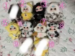 babythree ネコ　猫　犬　セット