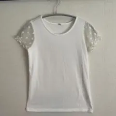 Item thumbnail for item b478c8e8-c455-4eee-add5-3950f880403b