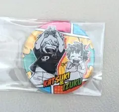 僕のヒーローアカデミア ヒロアカ 爆豪 幼少期 中学 高校 缶バッジ15点セット ジャンフェス JF プチ 子供時代 缶バッジ ヒロアカ 幼少期 爆豪