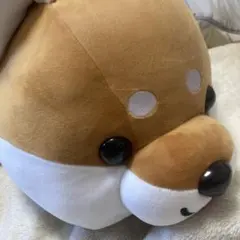 ハッピーまめしば　特賞 新品ハッピーまめしば【特賞】ぬいぐるみ特大柴犬豆柴豆しばまめ