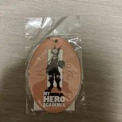 僕のヒーローアカデミア　オーバルパスケース　爆豪　勝己