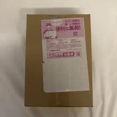 完全未開封ポケセン産 ニンジャスピナー BOX シュリンク付 ポケモンセンター
