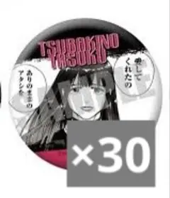 WIND BREAKER ウィンブレ ジュエリー缶バッジ 椿野佑 30点