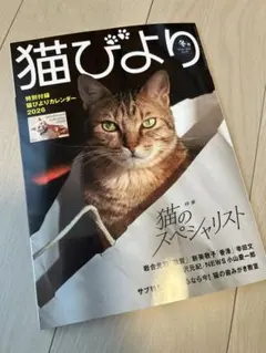 Item thumbnail for item 2248e742-5ecc-433b-99c2-d104a4680616