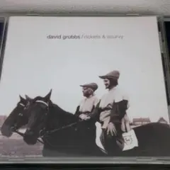 david grubbs rickets & scurvy CD 国内盤
