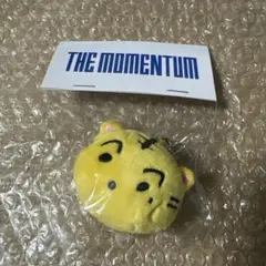 2025年最新】NCT マーク ぬいぐるみの人気アイテム - メルカリ