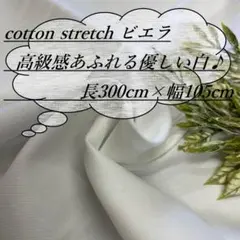 he5/3 長3ｍ 綿 ストレッチ ビエラ 白 生地 布 布地