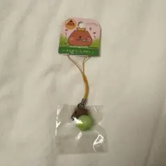 2025年最新】カピバラ ご当地の人気アイテム - メルカリ