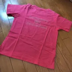 CANTERBURY 半袖Tシャツ ピンクのサムネイル