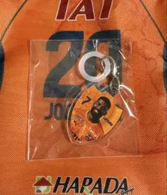 清水エスパルス めじるしキーホルダー カピシャーバ