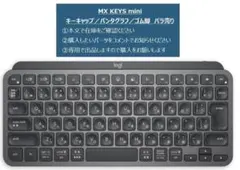 MX KEYS miniキーキャップ パンタグラフ バラ売り 購入前コメント必須