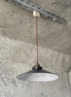 イギリス 矢車草のハンドプリント アンティーク ランプシェード イギリス 矢車草のハンドプリント アンティーク ランプシェード 2025年