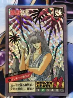 幽遊白書 56オジギソウ操作!!! 妖狐蔵馬 スーパーバトル カードダス