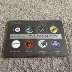 ape エイプ　缶バッジ　カバ ape エイプ 缶バッジ カバ L120195_01.webp