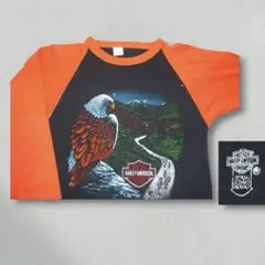 ▪70s ハーレー ビンテージ Tシャツ ラグランスリーブ オレンジ 黒 y2kのサムネイル