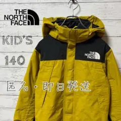 THE NORTH FACE GORE-TEX インサレーションジャケット