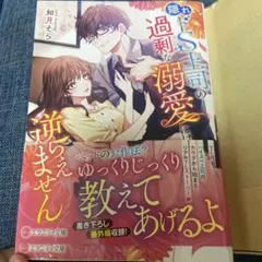 隠れドS上司の過剰な溺愛には逆らえません