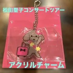 松田聖子コンサートツアー2026アクリルキーチャームトラベルのサムネイル