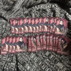 武知海青 eternal connny 30枚セット