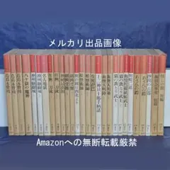 国枝史郎伝奇文庫 全28巻揃 講談社 横尾忠則装幀 - メルカリ