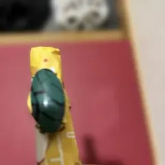 緑色の装飾的な金属製リング