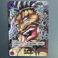 ワンピースカード 世界最強の戦士 カイドウ SRパラレル 原画 刃牙 sp
