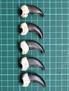 Item thumbnail for item 5880692f-69d2-4f35-bce2-18369952b8ad