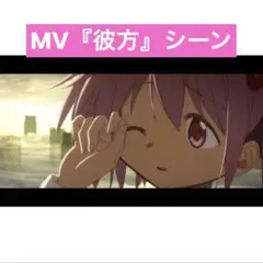 魔法少女まどか☆マギカ まどマギ 35mmフィルムコマ 鹿目まどか 暁美ほむら
