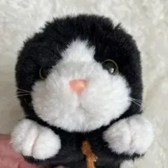 吉徳のぬいぐるみ 猫 3体セット - メルカリ