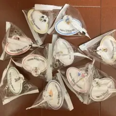 ディズニー　キーチェーン　ネームタグ