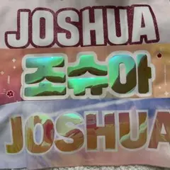 ジョシュア スローガン セット SEVENTEEN セブチ マスター