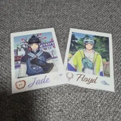 ツイステ展 ジェイド フロイド ランダムカードコレクション