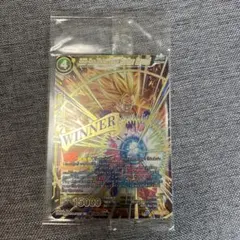 ドラゴンボール超カードゲーム 海外 英語 大会 非売品 top 16 孫悟飯