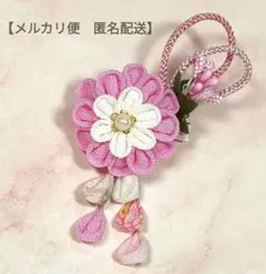 Item thumbnail for item 1206b3f4-600c-4086-9fe9-9f1eaafed720