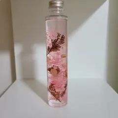 하바리움 꽃 꽃