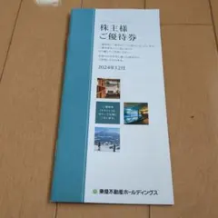 東急不動産ホールディングス 株主優待券 2024年12月発行分