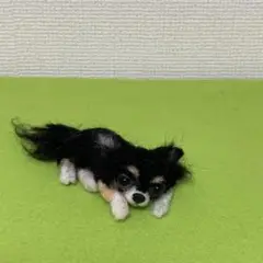 羊毛フェルト　くつろぐブラックタンチワワ