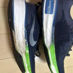 ナイキインヴィンシブルラン3メンズ27.0