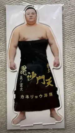 義ノ富士 ビッグアクリルスタンド 大相撲