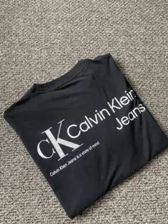 ほぼ未使用CalvinKlein Tシャツ