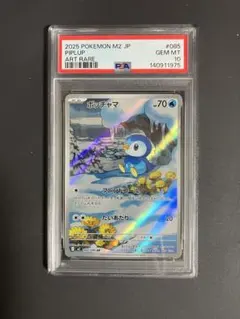 【PSA10】ポッチャマ AR インフェルノX収録