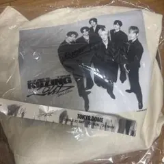 RIIZE 東京ドーム アプグレ特典 プレミアム +銀テ