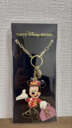 2025年最新】東京ディズニーリゾート 割引オプション：通常商品