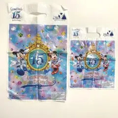 未使用【アナ雪】東京ディズニーリゾート 15周年　お土産袋