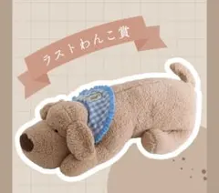 salut!　サリュ　おひるねワンコ　抱き枕　ぬいぐるみ salut! サリュ おひるねワンコ 抱き枕 ぬいぐるみ - メルカリ