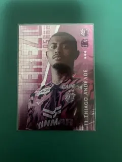 Item thumbnail for item c85dce4a-c1d2-4112-8529-feae544341fa