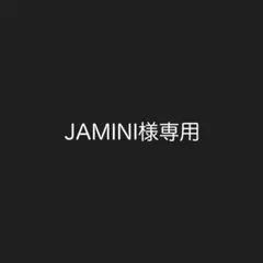 JAMINI様専用ページ